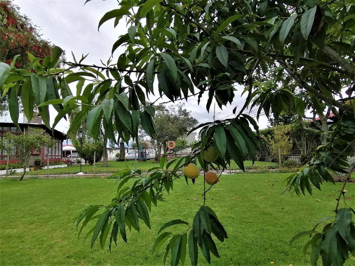 切斯特住宿加早餐旅馆 塔巴贝拉 外观 照片