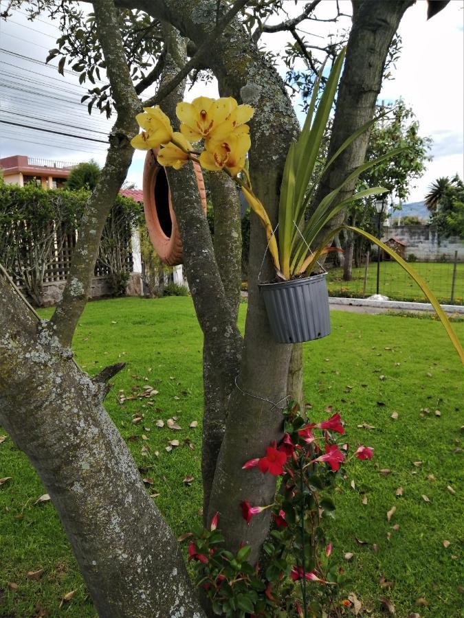 切斯特住宿加早餐旅馆 塔巴贝拉 外观 照片